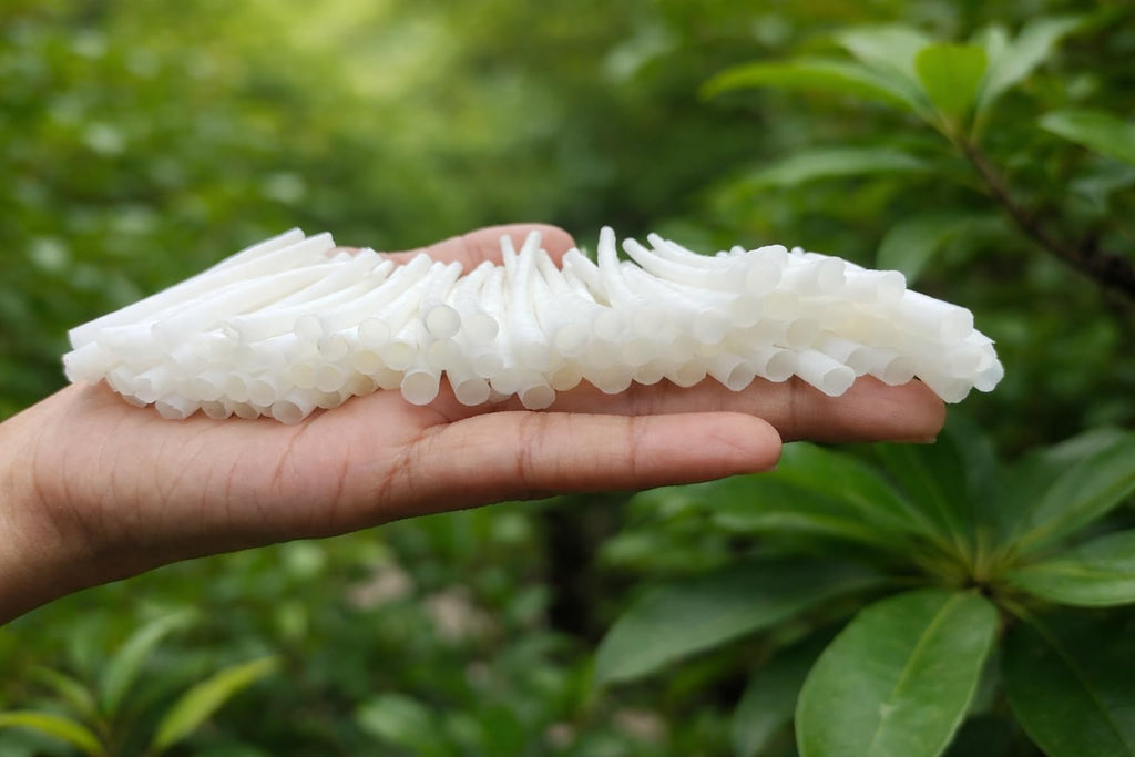 Natural Smooth Dentalium Shells – Bulk Sea Shells for Jewelry Making, Dream Catchers, Beading, Crafts & Coastal Decor (1000, 1.25 to 1.50 inches)