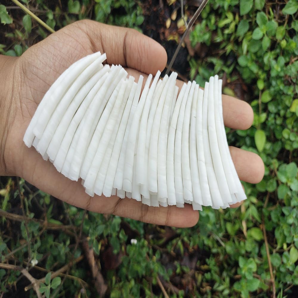 2.2 LBS (1 kg) Smooth Dentalium Shells – 2 to 2.2 Inches – Approx. 920 Pieces – Natural White Tubular Seashells for Jewelry Making, Craft, Beading & Native Regalia. (500 Gram)