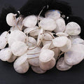GEMZ 13 inch Strand of Natural Rainbow Moonstone Heart Shape Faceted Cut White Color briollete Beads for DIY Jewelry Making- Earring Necklace Bracelet.