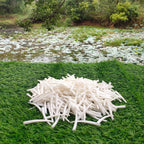 2.2 LBS (1 kg) Smooth Dentalium Shells – 2 to 2.2 Inches – Approx. 920 Pieces – Natural White Tubular Seashells for Jewelry Making, Craft, Beading & Native Regalia. (500 Gram)