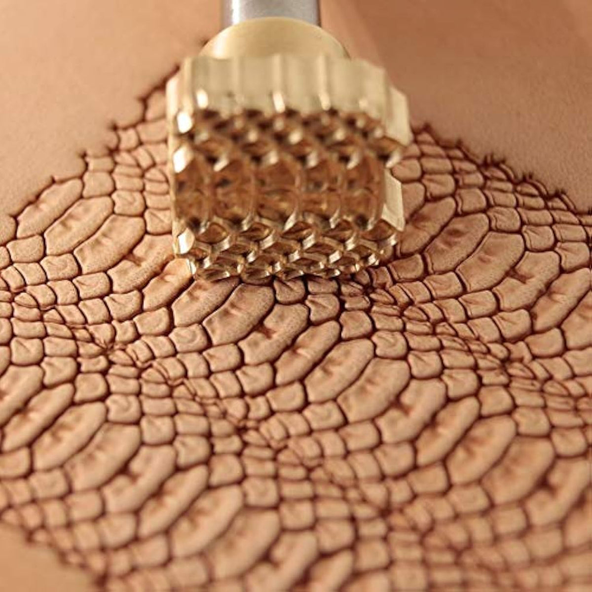 DandS ltd Leather Stamp Tool Set, Dragon Scale, Professional Steel Craft Tool for Leatherworking, Embossing, Carving & Stamping Leather Projects, Belts & DIY Projects Compatible with Mallet #62Set
