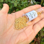 30g Miyuki Delica 11/0 Seed Beads, Transparent Matte 24Kt Gold Plated DB331