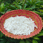 1.1 LBS (500 Grams) Smooth Dentalium Shells (1.75–2 Inches) – Natural White Dentalium Shells for Beading, Jewelry Making, Native Regalia & Craft.