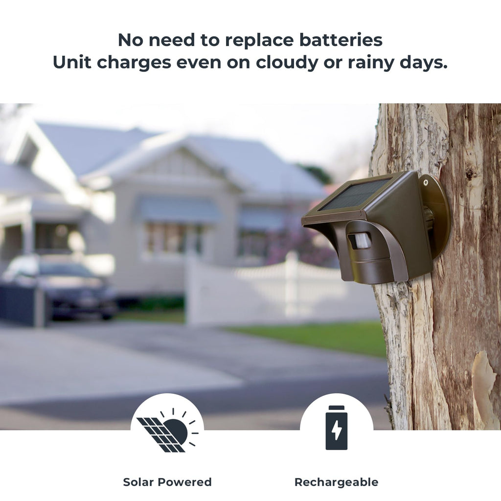Solar Wireless Driveway Alarm, 1 Plug-in Receiver & 4 Sensors