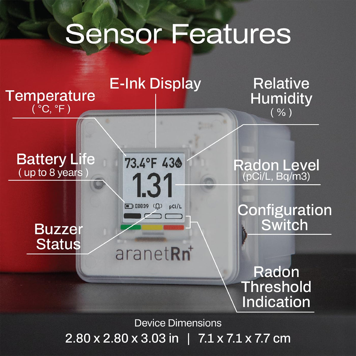 Radon Plus Radon Detector for Home with 10-Minute Readings