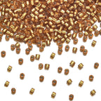30g Miyuki Delica 11/0 Seed Beads, Transparent Matte 24Kt Gold Plated DB331