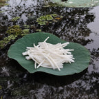 2.2 LBS (1 kg) Smooth Dentalium Shells – 2 to 2.2 Inches – Approx. 920 Pieces – Natural White Tubular Seashells for Jewelry Making, Craft, Beading & Native Regalia. (500 Gram)