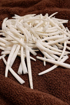 Natural Smooth Dentalium Shells – Bulk Sea Shells for Jewelry Making, Dream Catchers, Beading, Crafts & Coastal Decor (1000, 1.25 to 1.50 inches)