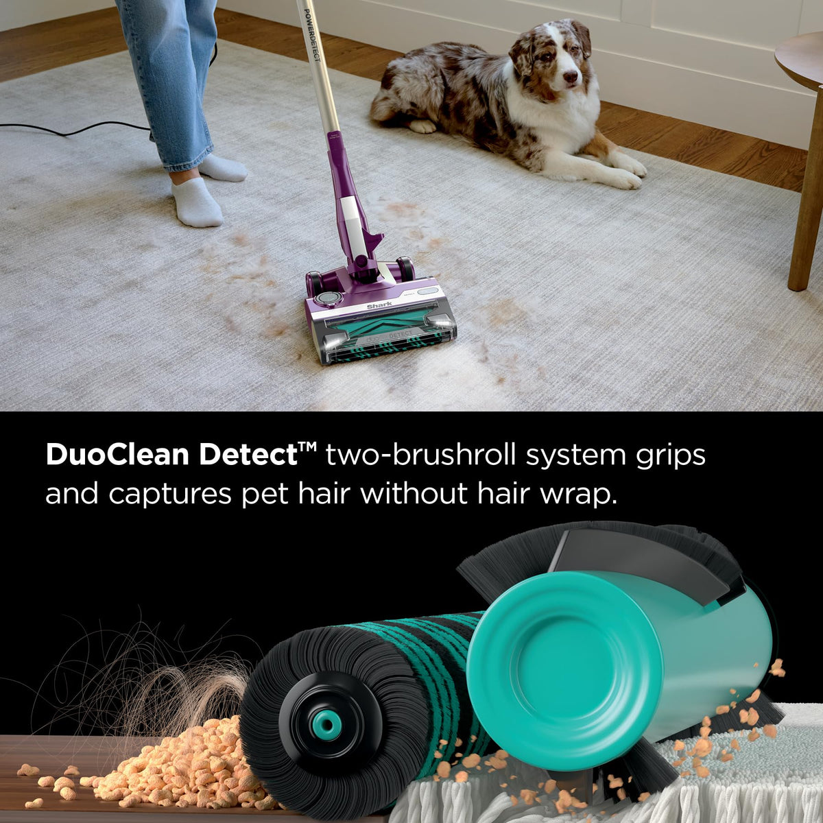 Shark PowerDetect Corded Stick Vacuum, HEPA, Pet Hair, Purple, HZ4001AMZ